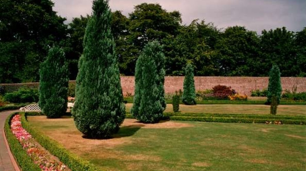 Kuva ”Woodside” käyttäjältä Patrick Mackie (CC BY-SA) / rajattu alkuperäisestä kuvasta