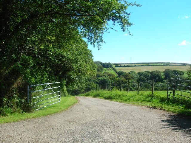 Road to Helligan Barton A bridleway runs alongside on the left in the woods.