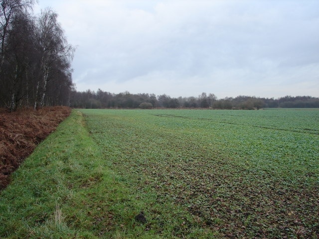 Kuva ”Crowle ja Ealand” käyttäjältä Ian Paterson (CC BY-SA) / rajattu alkuperäisestä kuvasta