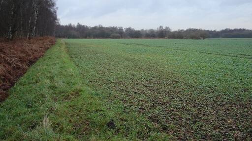 Photo "Crowle and Ealand" by Ian Paterson (CC BY-SA) / Cropped from original