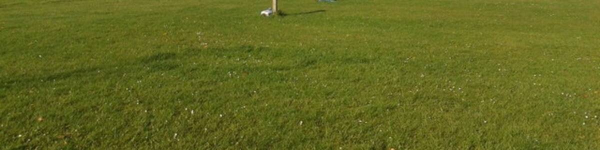 Photo "Ehemaliger Fussballplatz" by BMG1900-Anhalt on geo.hlipp.de (Creative Commons Attribution-Share Alike 2.0) / Cropped from original