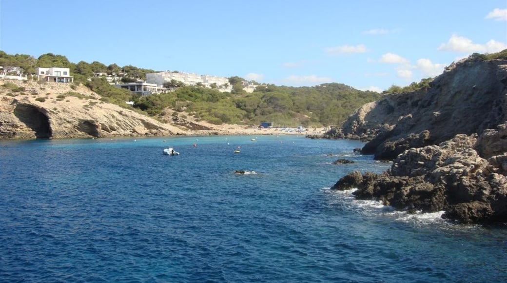Photo "Cala Comte" by anibal amaro (CC BY) / Cropped from original