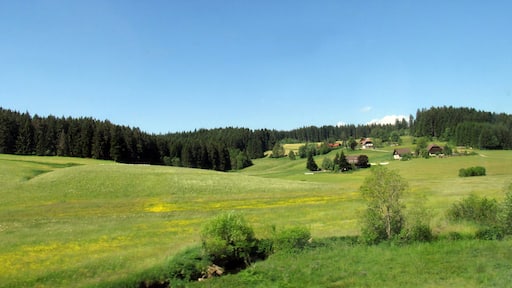 Bildet «Sankt Georgen im Schwarzwald» tatt av Baden de (CC BY) / originalbilde beskjært