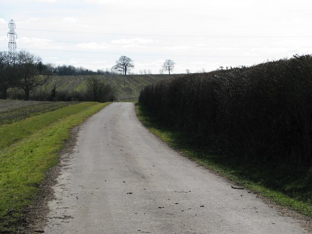 Photo "Ashley" by Sarah Charlesworth (CC BY-SA) / Cropped from original