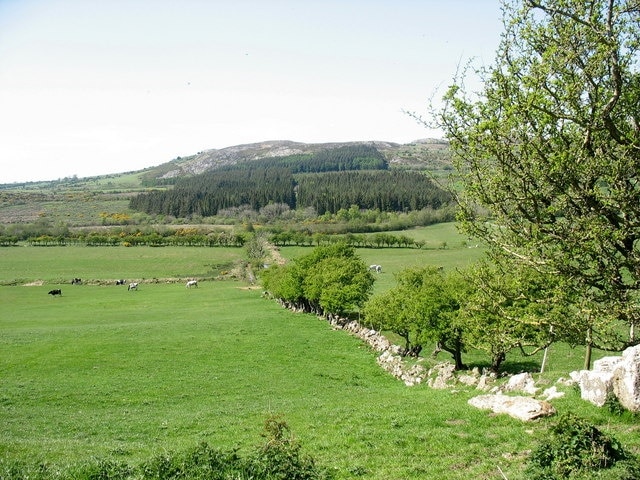 View downslope into the Lligwy valley from the Caerhoslligwy track