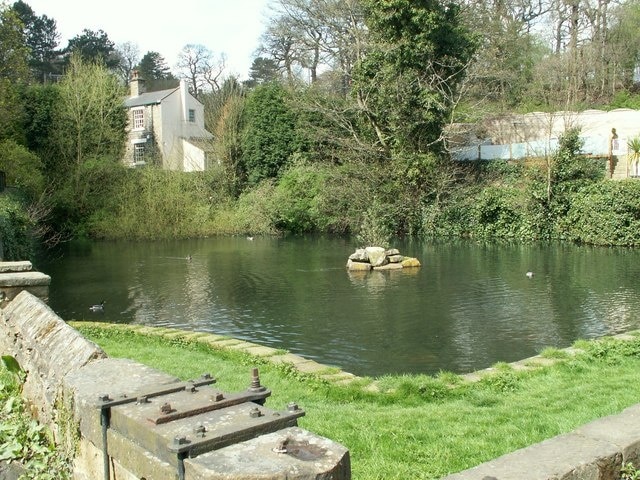 Scissett duck pond At the junction with Cuttlehurst and Wakefield Road, the pond is in two grid squares SE2409 and SE2410.