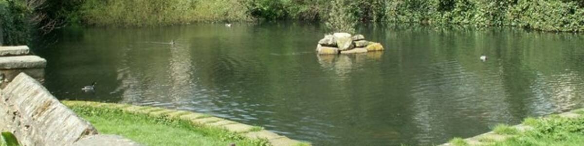 Photo "Scissett duck pond At the junction with Cuttlehurst and Wakefield Road, the pond is in two grid squares SE2409 and SE2410." by John Fielding (Creative Commons Attribution-Share Alike 2.0) / Cropped from original