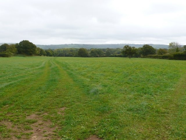 Fields Near Woodrow View south east across the square from close to the Hazelbury Bryan to Sturminster Newton road.