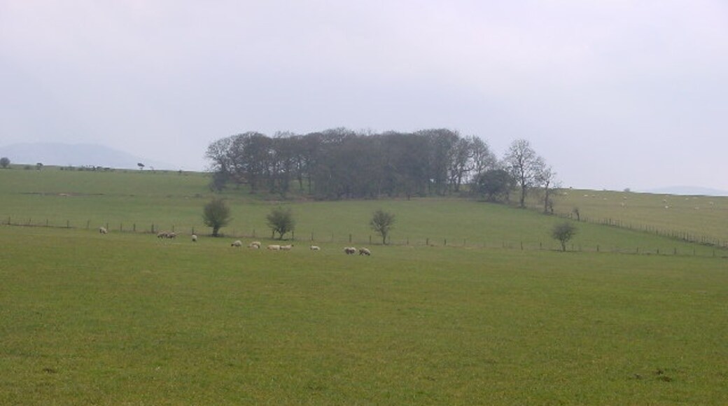 Photo "Castle Sowerby" by Bob Jenkins (CC BY-SA) / Cropped from original