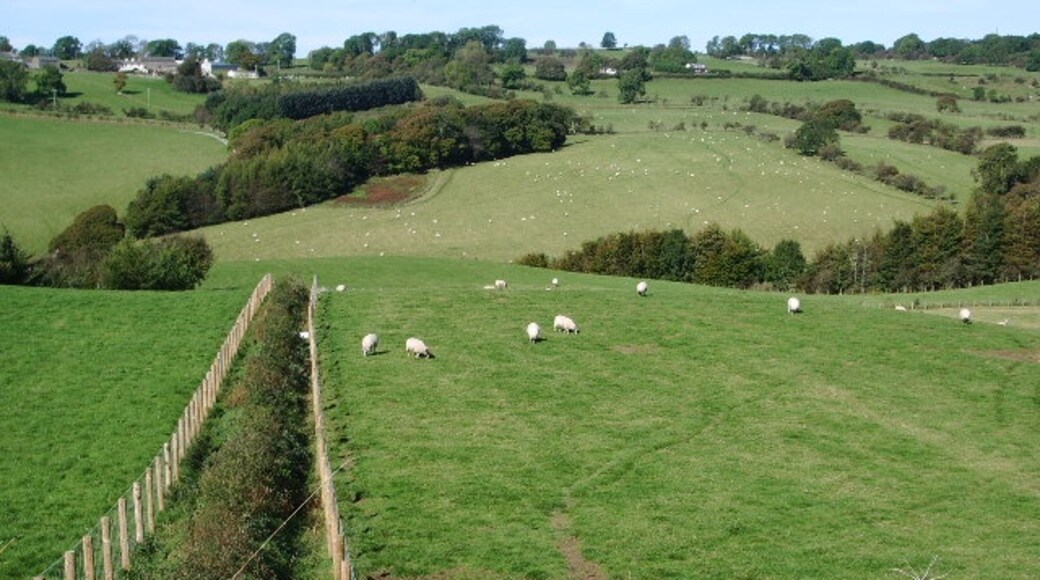 Foto "Setmurthy" de Alexander P Kapp (CC BY-SA) / Recortada do original