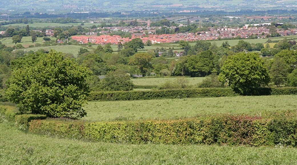 "Wellington Without"-foto av Martin Bodman (CC BY-SA) / Urklipp från original