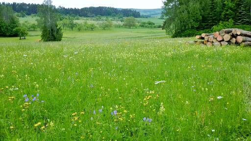 Foto "Hausen" por qwesy qwesy (CC BY) / Recortada de la original