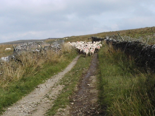 Foto “Hanlith” tomada por John Illingworth (CC BY-SA); recorte de la original