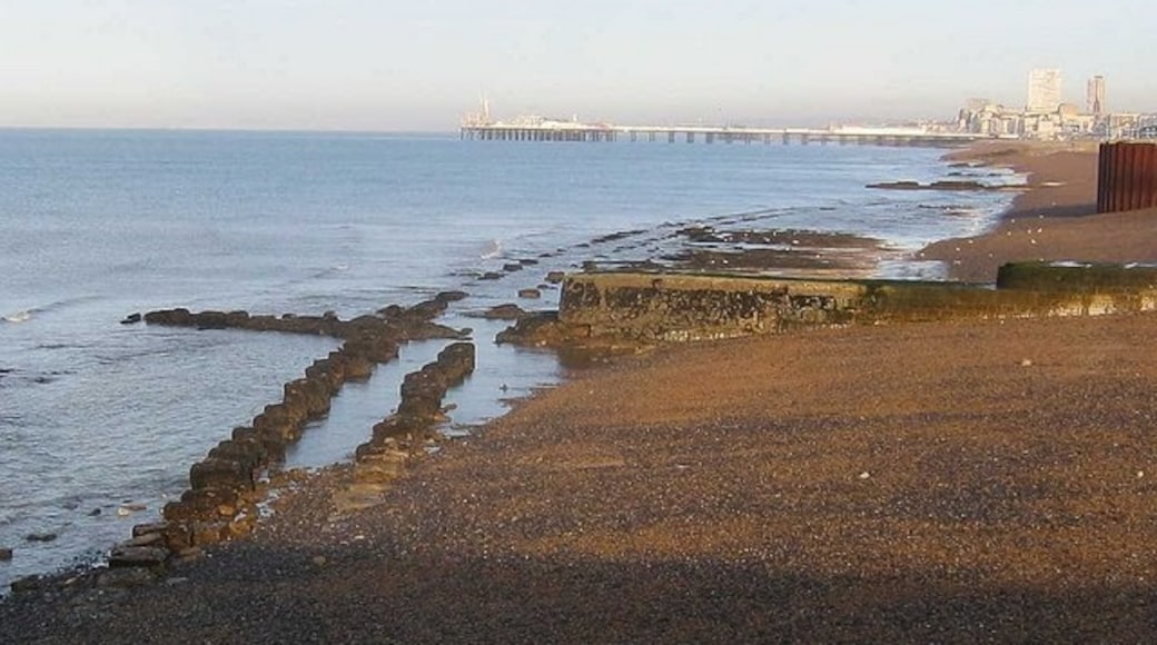 Foto "Pantai Naturis Brighton" oleh Peter Whitcomb (CC BY-SA) / Dipotong dari foto asli