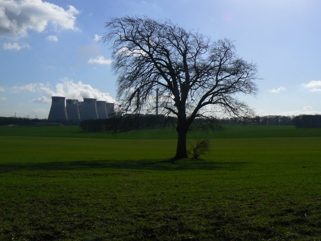 Lone Tree This photograph was taken from the edge of Fryston Woods looking across the fields in an approx south east direction toward Ferry Bridge Power Station. Fryston Woods and all within this photograph once formed part of Fryston Park the managed estate, in the 19th century, of the Monckton Milnes Family of Fryston Hall.