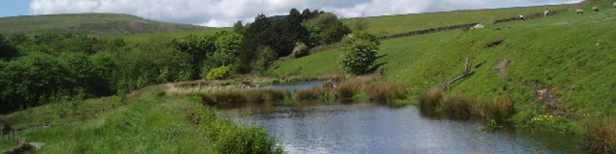 Photo "Old mill pond near Wardle, Lancashire." by Dr Neil Clifton (Creative Commons Attribution-Share Alike 2.0) / Cropped from original