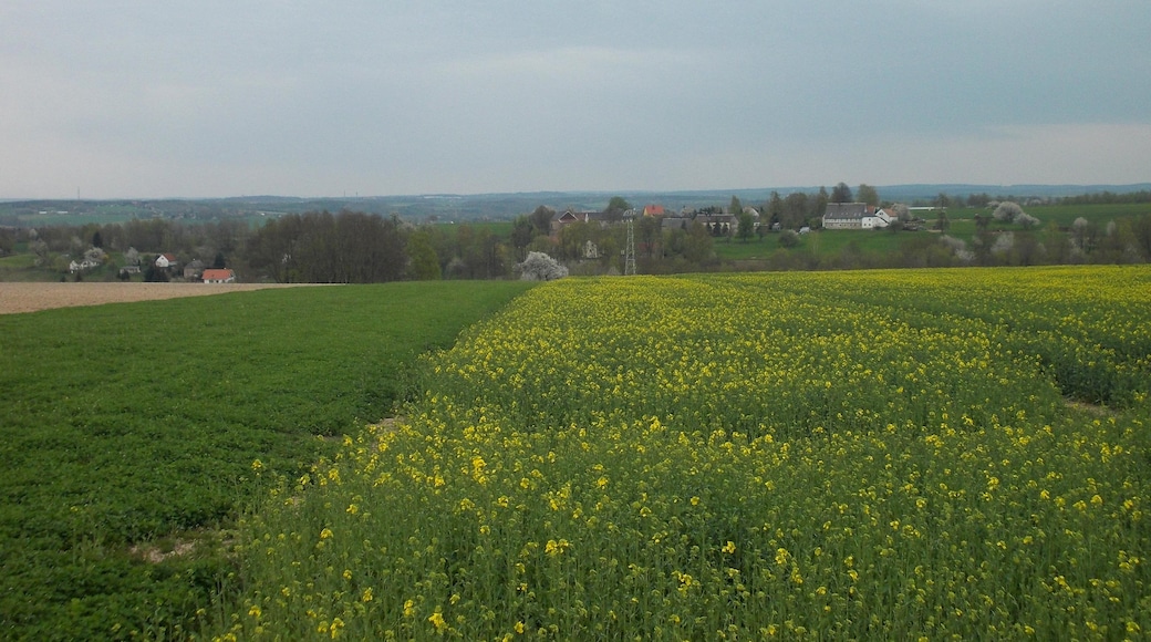 Foto "Wechselburg" por Jwaller (CC BY-SA) / Recortada de la original