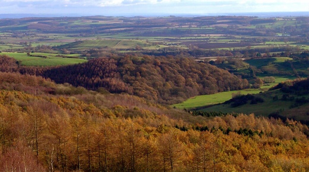 Billede "Kilburn High and Low" af Scott Rimmer (CC BY-SA) / beskåret fra det originale billede