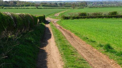 Ảnh "East Tanfield" của David Rogers (CC BY-SA) / Cắt từ ảnh gốc