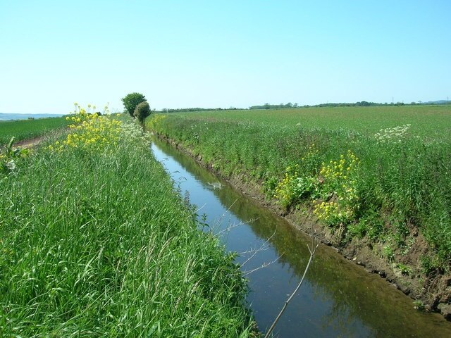 Ảnh "Willerby" của JThomas (CC BY-SA) / Cắt từ ảnh gốc