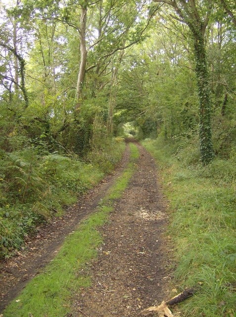 Bridleway towards Three Gates Farm A good bridleway runs roughly north-south across most of this part of the island from Locksgreen to Brighstone. This is the section north of Three Gates Farm.