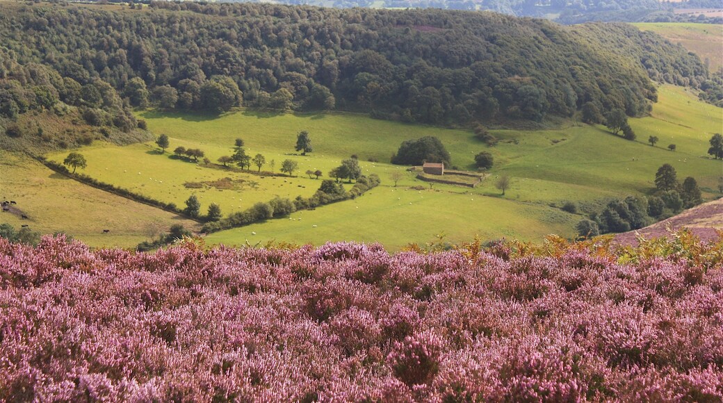 Kuva ”Garton” käyttäjältä Lineslarge (page does not exist) (CC BY-SA) / rajattu alkuperäisestä kuvasta