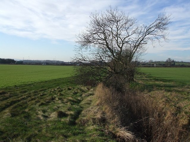 "Chalgrave"-foto av Rob Farrow (CC BY-SA) / Urklipp från original