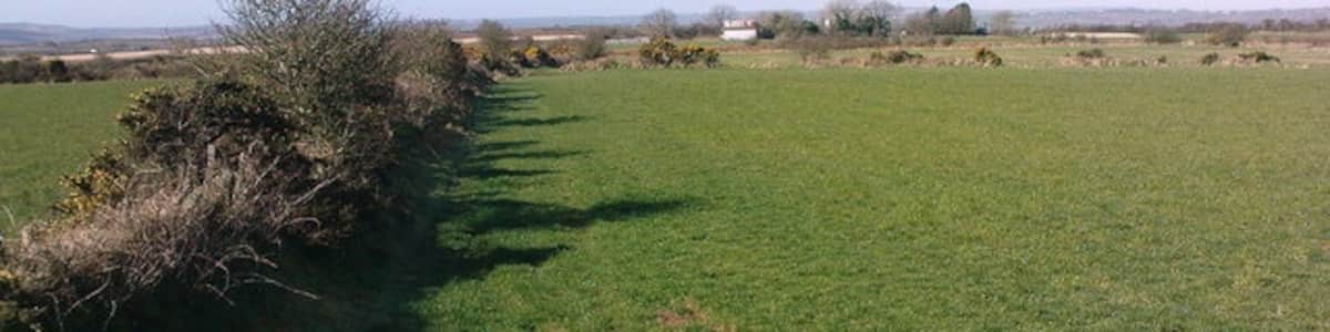 Photo "Mount Pleasant Pembrokeshire Open farmland on top of a windy hill." by R Simpson (Creative Commons Attribution-Share Alike 2.0) / Cropped from original