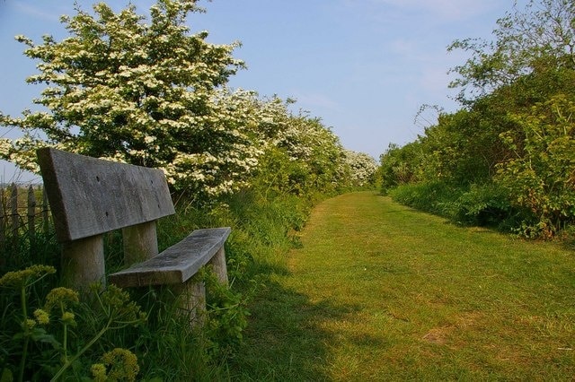 Seat in Cudmore Grove The seat is dedicated to a William Krupp the path is a permissive bridleway. Cudmore Grove is a Country park managed by Essex County Council. For more info on the park see http://www.essexcc.gov.uk/vip8/ecc/ECCWebsite/dis/guc.jsp?channelOid=14413&guideOid=16906&guideContentOid=14421