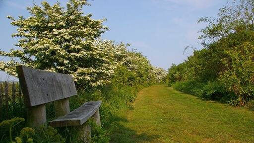 Kuva ”East Mersea” käyttäjältä Glyn Baker (CC BY-SA) / rajattu alkuperäisestä kuvasta