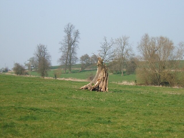 Photo "Long Newnton" by David Collins (CC BY-SA) / Cropped from original