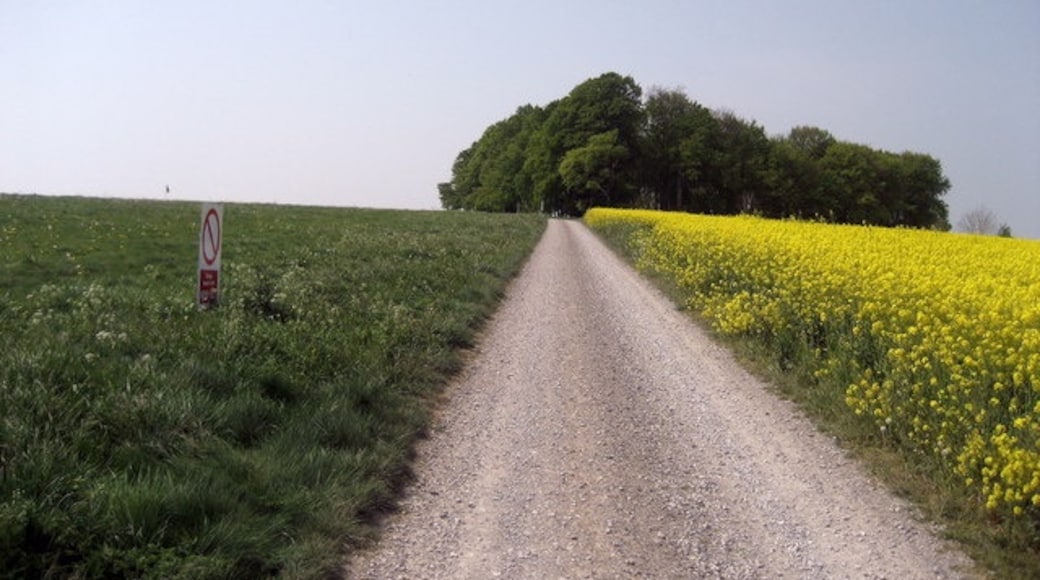 Foto "Urchfont" de Chris Heaton (CC BY-SA) / Recortada de la original