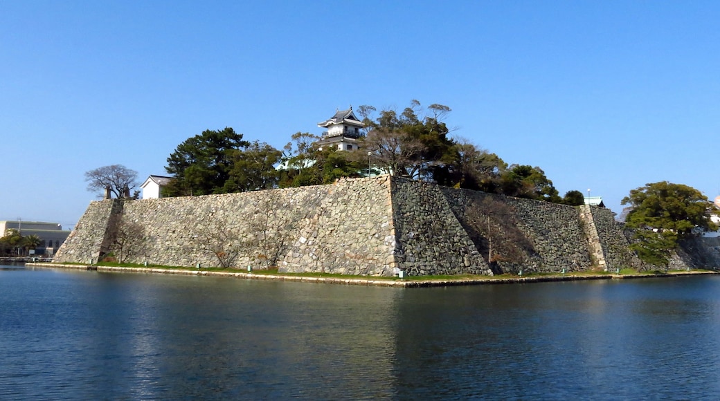 "Imabari Castle"-foto av redlegsfan21 (CC BY-SA) / Urklipp från original