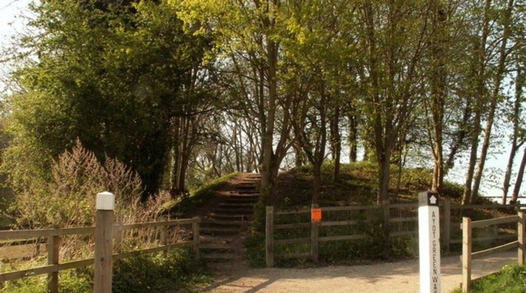 Foto “Ayot St Peter” tomada por Robert Edwards (CC BY-SA); recorte de la original