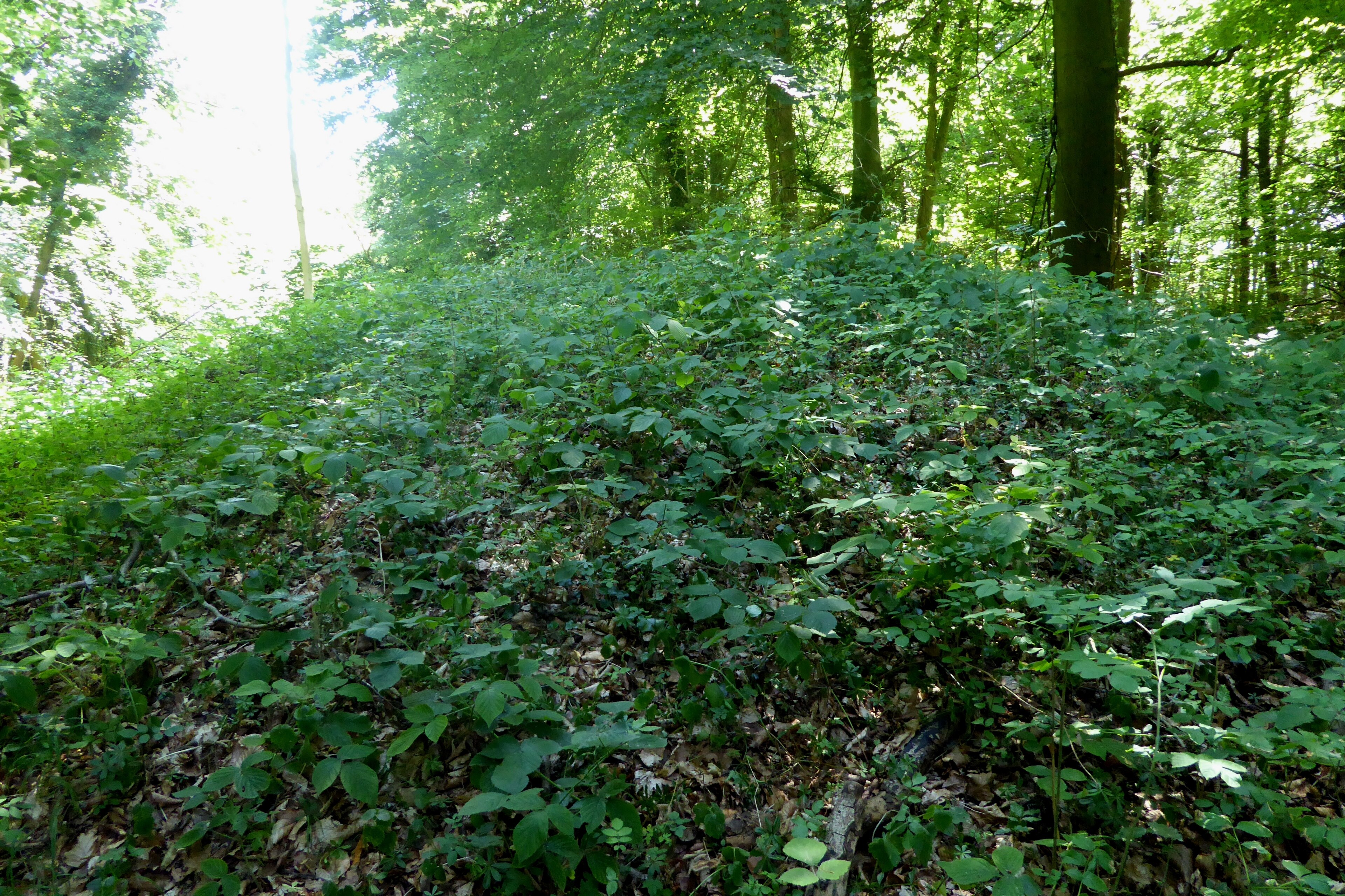 "Randwick and Westrip"-foto av Ethan Doyle White (CC BY-SA) / Urklipp från original