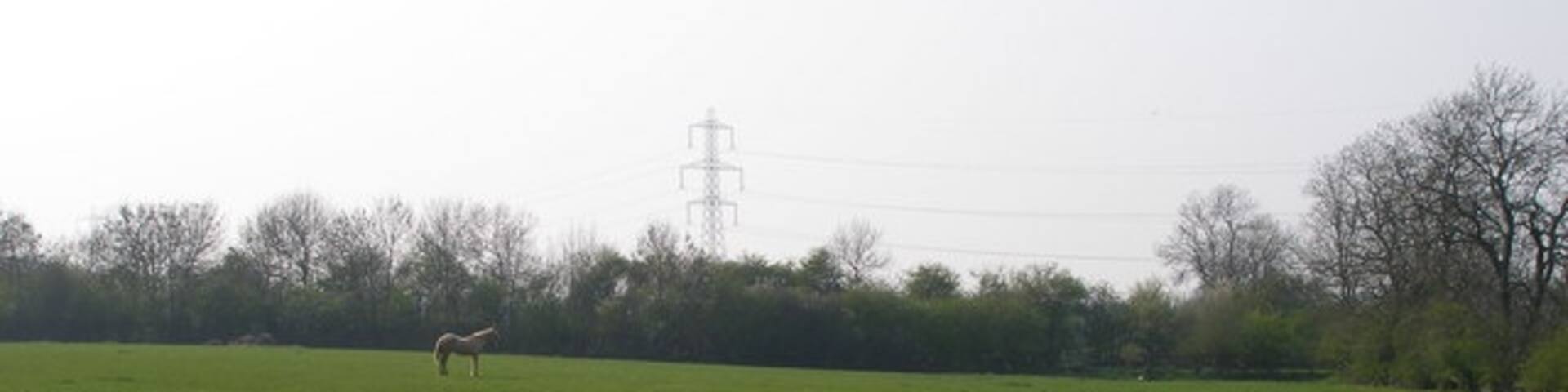 Wolviston, Billingham, England, United Kingdom