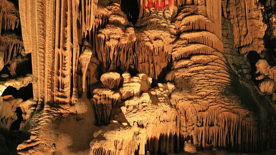 Photo "Grotto of the Demoiselles: A karst cave in the Cevennes, France. The cave consists of a network of corridors that are grouped around a central grotto (Cathédrale Souterraine) with a length of 120 meters with a width of 80 meters and a height of 52 meters." by W. Bulach (page does not exist) (Creative Commons Attribution-Share Alike 4.0) / Cropped from original