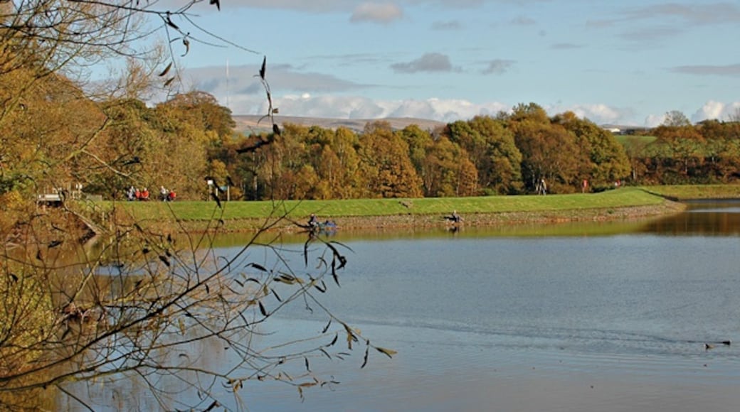 Photo "Worthington Lakes Country Park" by Dave Green (CC BY-SA) / Cropped from original