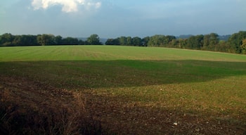Countryside west of Biggin Hill, TN16. Looking north from Norheads Farm, Glovers Close, Biggin Hill.