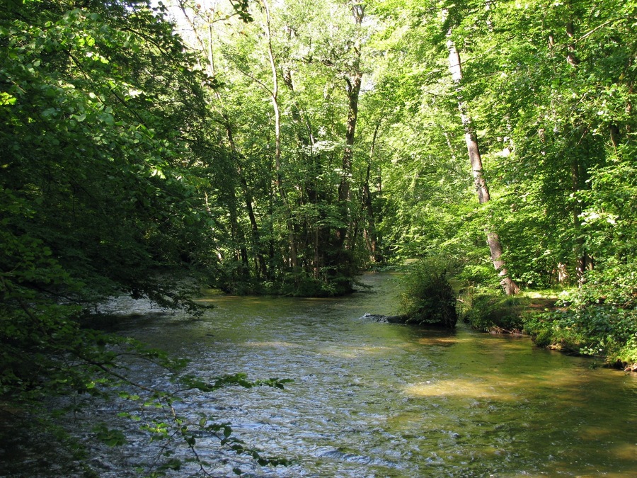 Würm im Mühltal