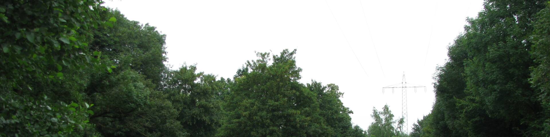 gemähte Wiese im Schutzgebiet Strunderbach an der Wichheimer Mühle