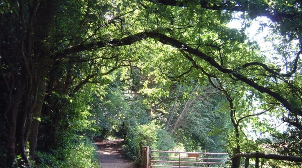 "Hewelsfield and Brockweir"-foto av Roy Parkhouse (CC BY-SA) / Urklipp från original