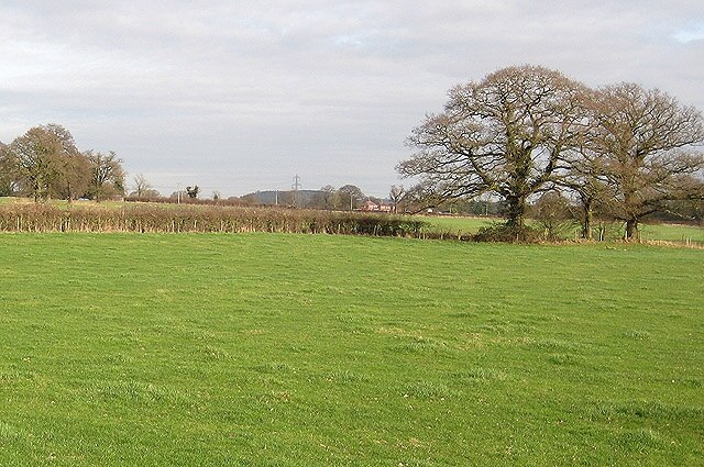 Photo "Taynton" by Pauline Eccles (CC BY-SA) / Cropped from original