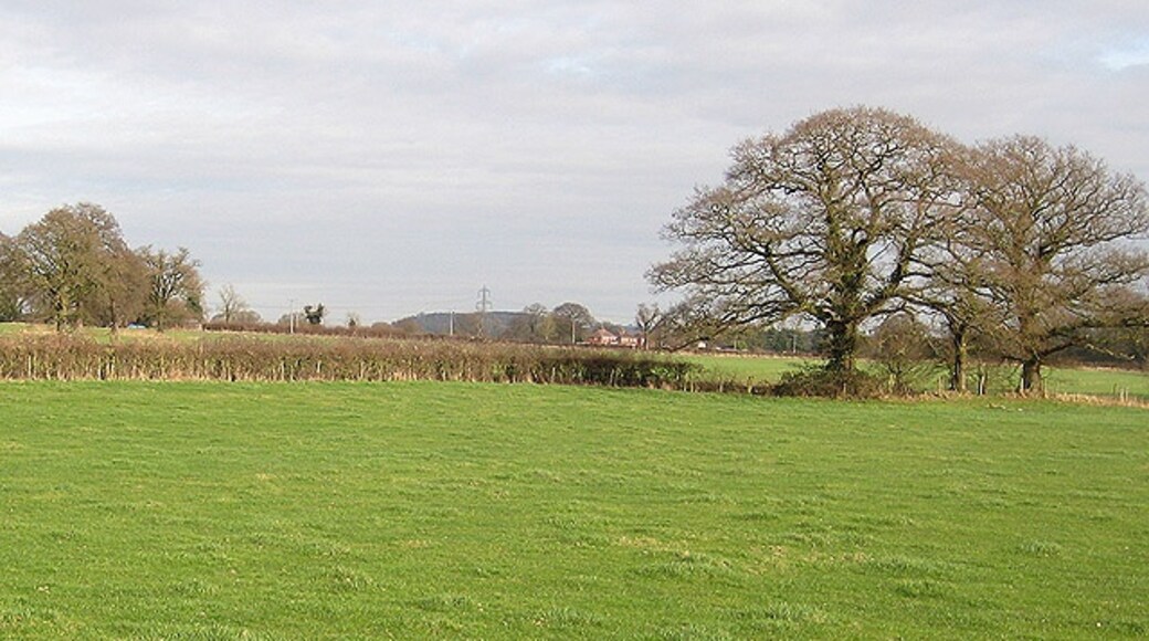 Billede "Taynton" af Pauline Eccles (CC BY-SA) / beskåret fra det originale billede