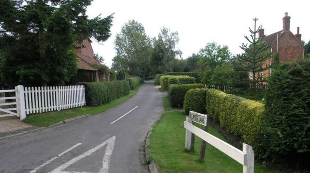 Kuva ”Bratoft” käyttäjältä Michael Patterson (CC BY-SA) / rajattu alkuperäisestä kuvasta