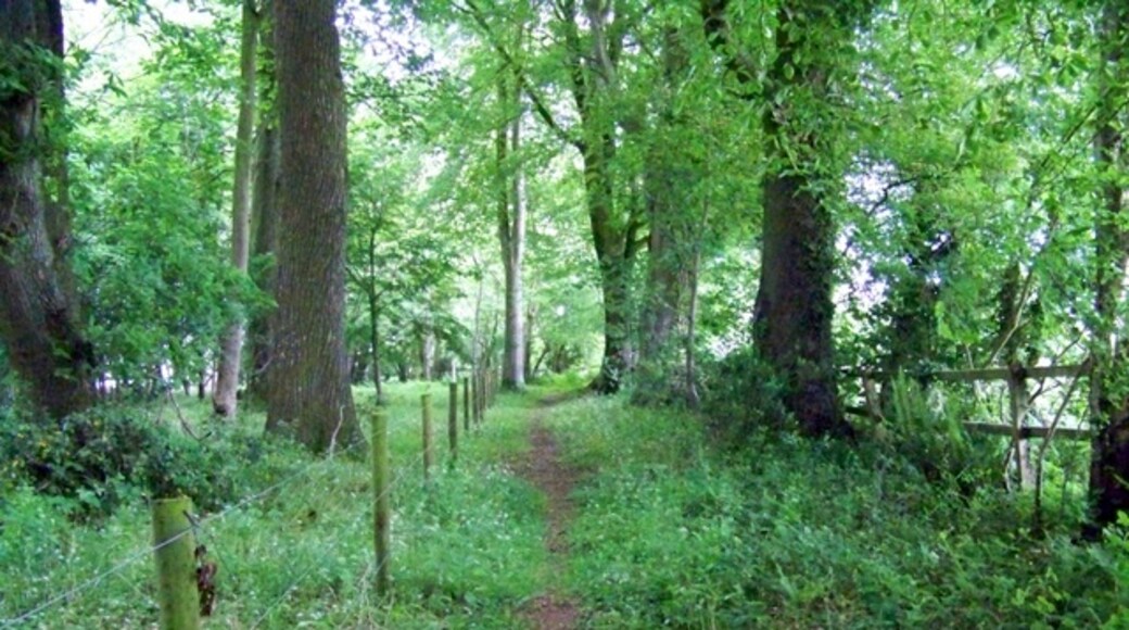 « Ashmore», photo de Trish Steel (CC BY-SA) / rognée de l’originale