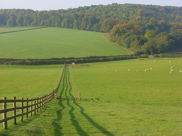 Farmland, Fingest Looking towards Mill Hanging Wood along the line of the path descending from Hanger Wood.