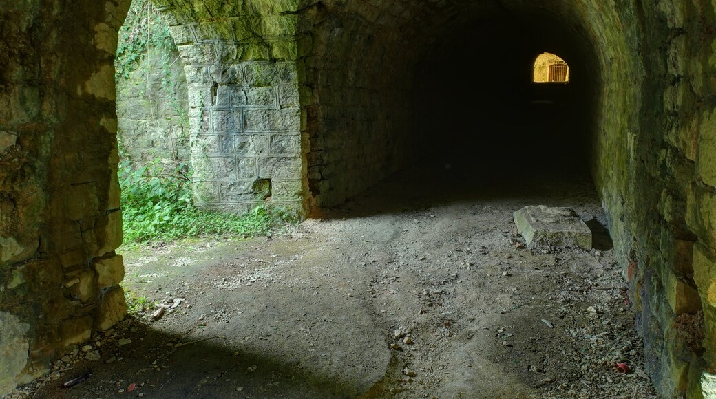 Photo "Grand-Charmont" by ComputerHotline (CC BY) / Cropped from original