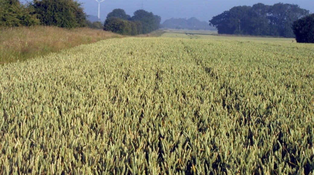 Photo "Preston" by Andy Beecroft (CC BY-SA) / Cropped from original