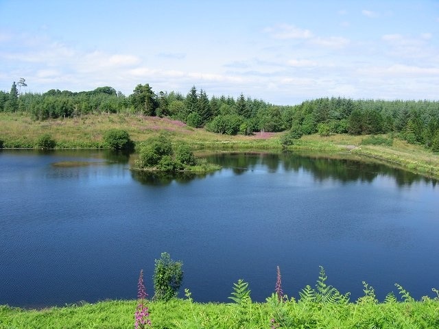 Kirkleegreen Reservoir. Well weathered in old reservoir.